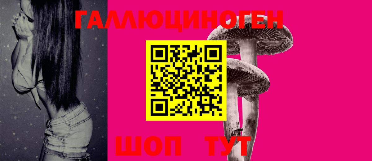 Усть-Лабинск  Галлюциногенные грибы Psilocybe  Галлюциногенные грибы прущие грибы  Вход с VPN 