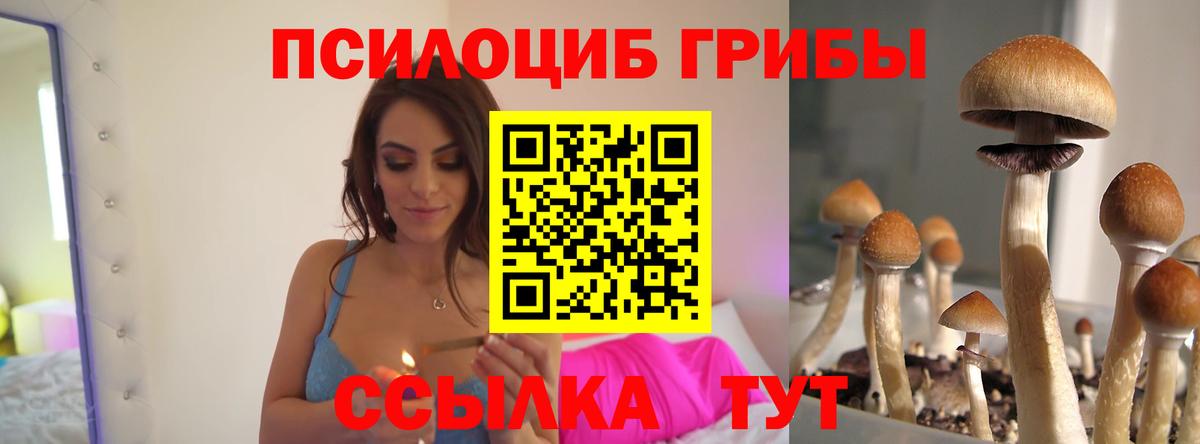 Псилоцибиновые грибы Cubensis Усть-Лабинск